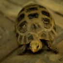 경북자연과학고등학교 이미지