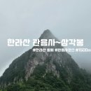 관음사가는길 | 강풍 통제된 한라산 관음사 코스 후기