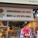 신염천하 이미지