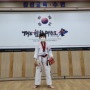 THE 힘찬태권도장 이미지