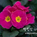 오늘의유리