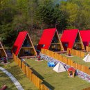 도그라운드 이미지