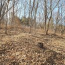 대곡면-12 이미지