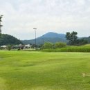김천포도CC 네이버블로그