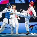 한국체대MVP태권도 이미지