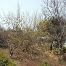 초록산산림욕장 네이버블로그