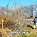 부귀면행정복지센터 이미지