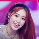 조아(ZOA) 이미지