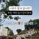 장미까페호프