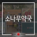 소나무약국 이미지