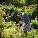 원예테라피 이미지