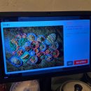 을지문고 | 마곡 원그로브 쌀국수 맛집 을지깐깐 보양쌀국수와 새우살튀김 후기