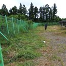 가시리 태양광발전소 이미지