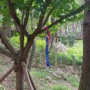 운수천계곡(1) 이미지