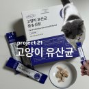 장바탕 | 고양이카페에서 추천받은 프로젝트21 고양이 유산균 장&amp;신장 케어 변비탈출 후기