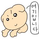 명품 문카센터 이미지