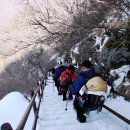 하산길 Daum카페