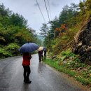 제1269차 10/3(금)~ 10/5(일) 속초로 떠난 가을 야영 이미지