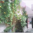 포항시남구44 이미지