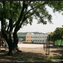 광령초등학교 이미지