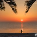 경주숲 3,4 이미지