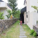 마이리틀아일랜드 이미지