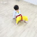 문산경희태권도 이미지