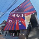 강원도 속초 볼거리 아이들과 갈만한 곳 뮤지엄엑스