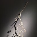 이강효 | 서울 종로 전시 공예박물관 10월 인사동 무료전시회 후기