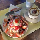 프린세스애견 이미지