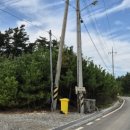 수선화펜션가족단체독채갯벌체험 이미지