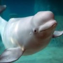 반야유치원 이미지