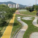 대천천1 이미지