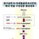 조인트케어
