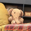 코끼리들이 웃는다 | 연극 [엘리펀트 송] | 박은석, 이석준, 이혜미 | 예스24스테이지 3관