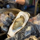 경남 마산 동물약국 | [경남 창원] 해파랑 마산굴구이맛집 바닷가뷰 후기