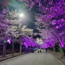 화정글로벌주니어학원