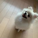 (주)바른마음 이미지