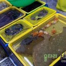 은광상회 네이버블로그