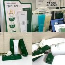 송도 코스트코 추천템 11월 할인상품 티타드 치약 후기