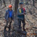 동산동-04 이미지