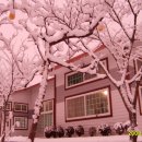 장승주유소 Daum카페