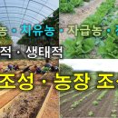 조성1