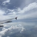 양금석가옥 | 2025.7. Jeju Island