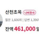 나비천사 이미지