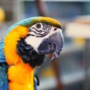 에그하우스 | 홍콩 에그타르트 맛집 베이크하우스 코즈웨이베이점 후기