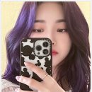 더블유시티 이미지