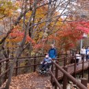 금강모치 화장실 이미지