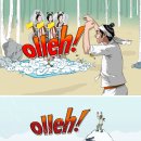 올레 kt