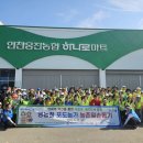 농협 인천옹진군지부 | [인천] 농협중앙회 인천옹진군지부, 영농철 포도농가 농촌일손돕기 실시/24.06.28(금)
